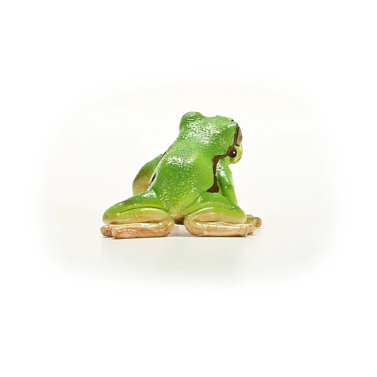 European Tree Frog - Image 3