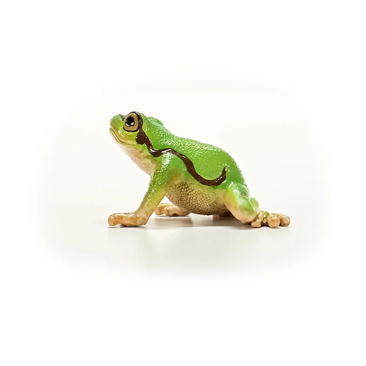 European Tree Frog - Image 5