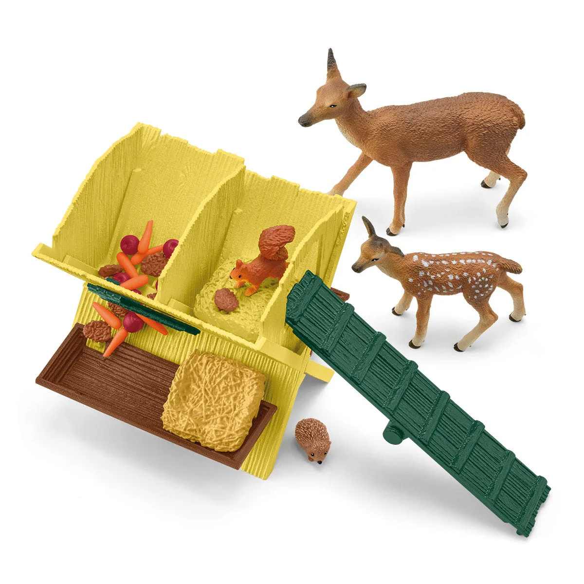 Feeding the Forest Animals - Image 3