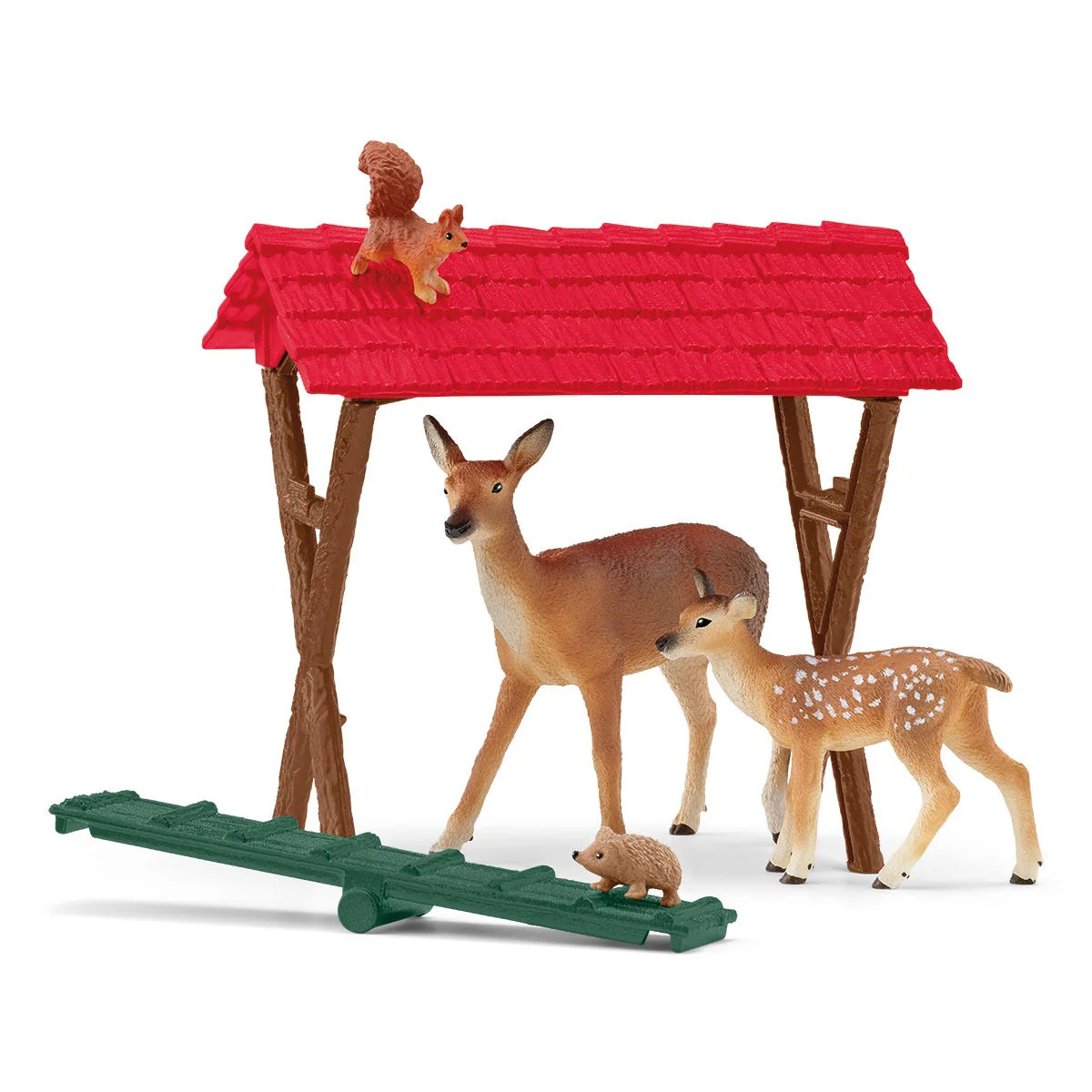 Feeding the Forest Animals - Image 4