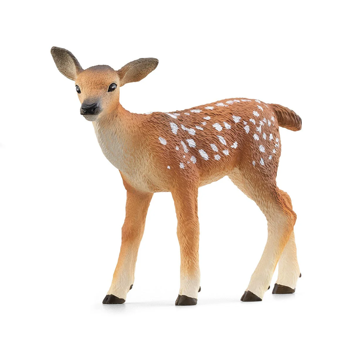 Feeding the Forest Animals - Image 6
