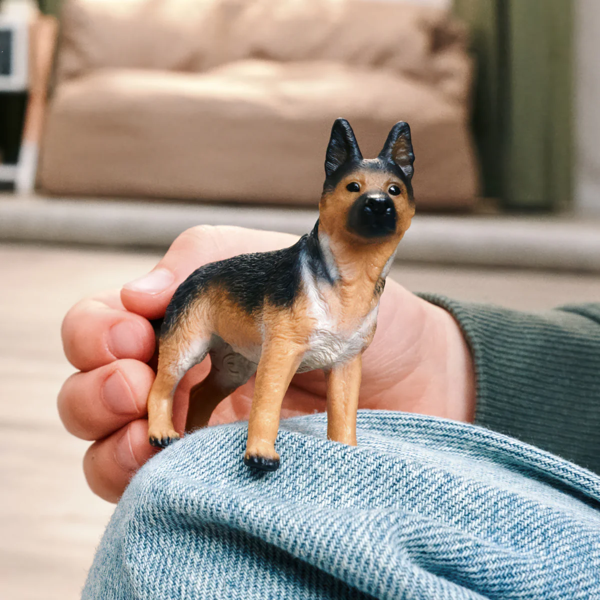 German Shepherd female - Image 2