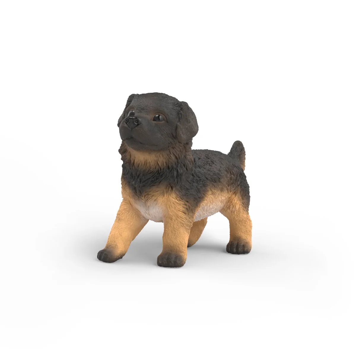 German Shepherd puppy