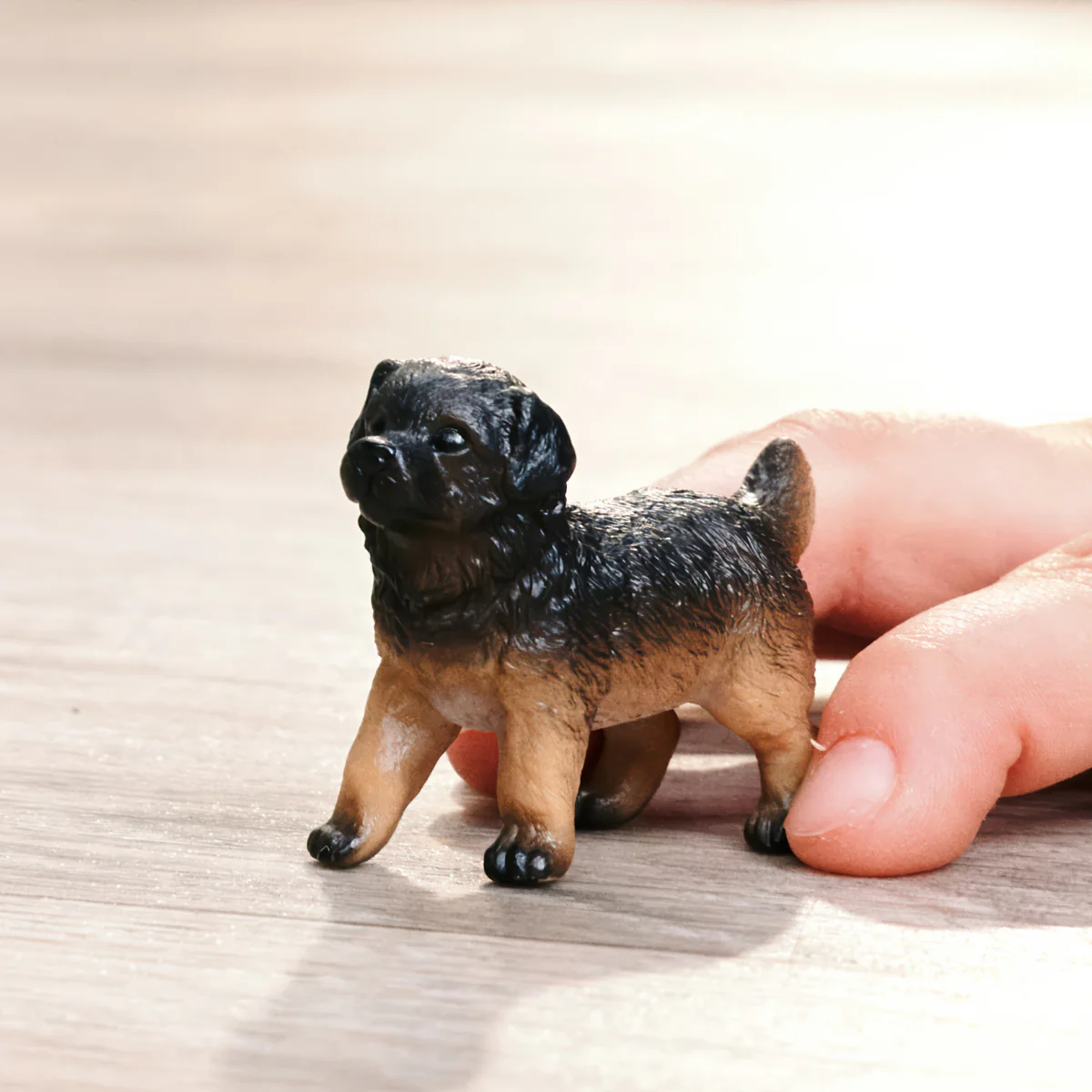 German Shepherd puppy - Image 2