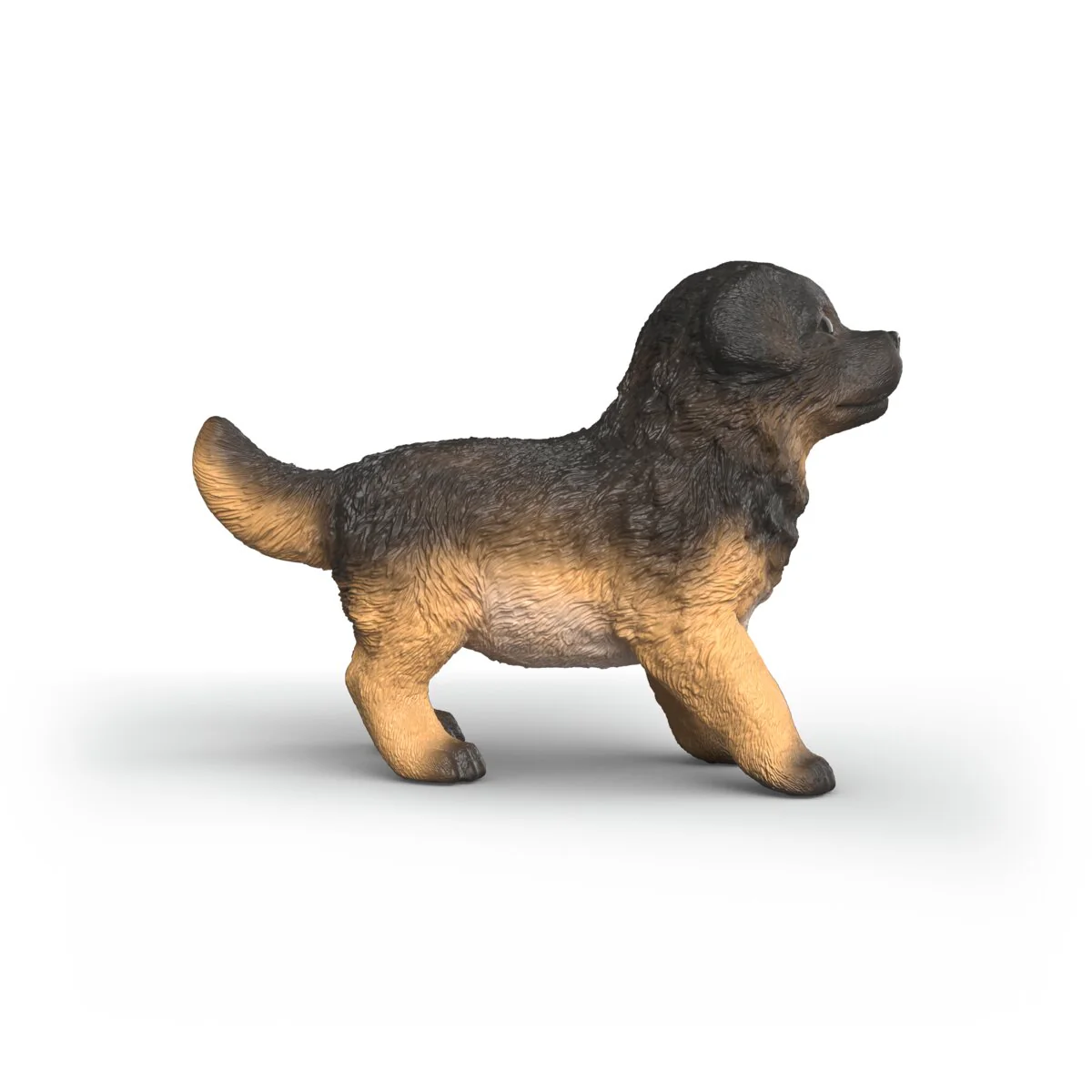 German Shepherd puppy - Image 3