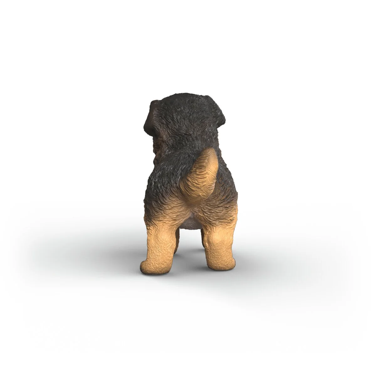 German Shepherd puppy - Image 4