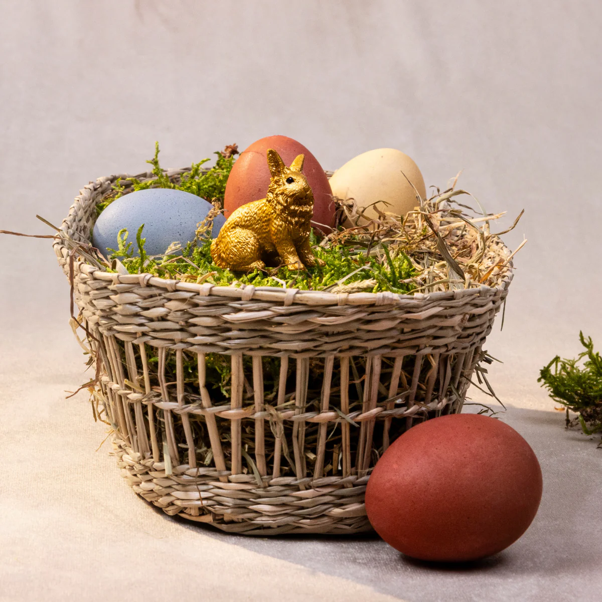 Golden Rabbit - Image 2