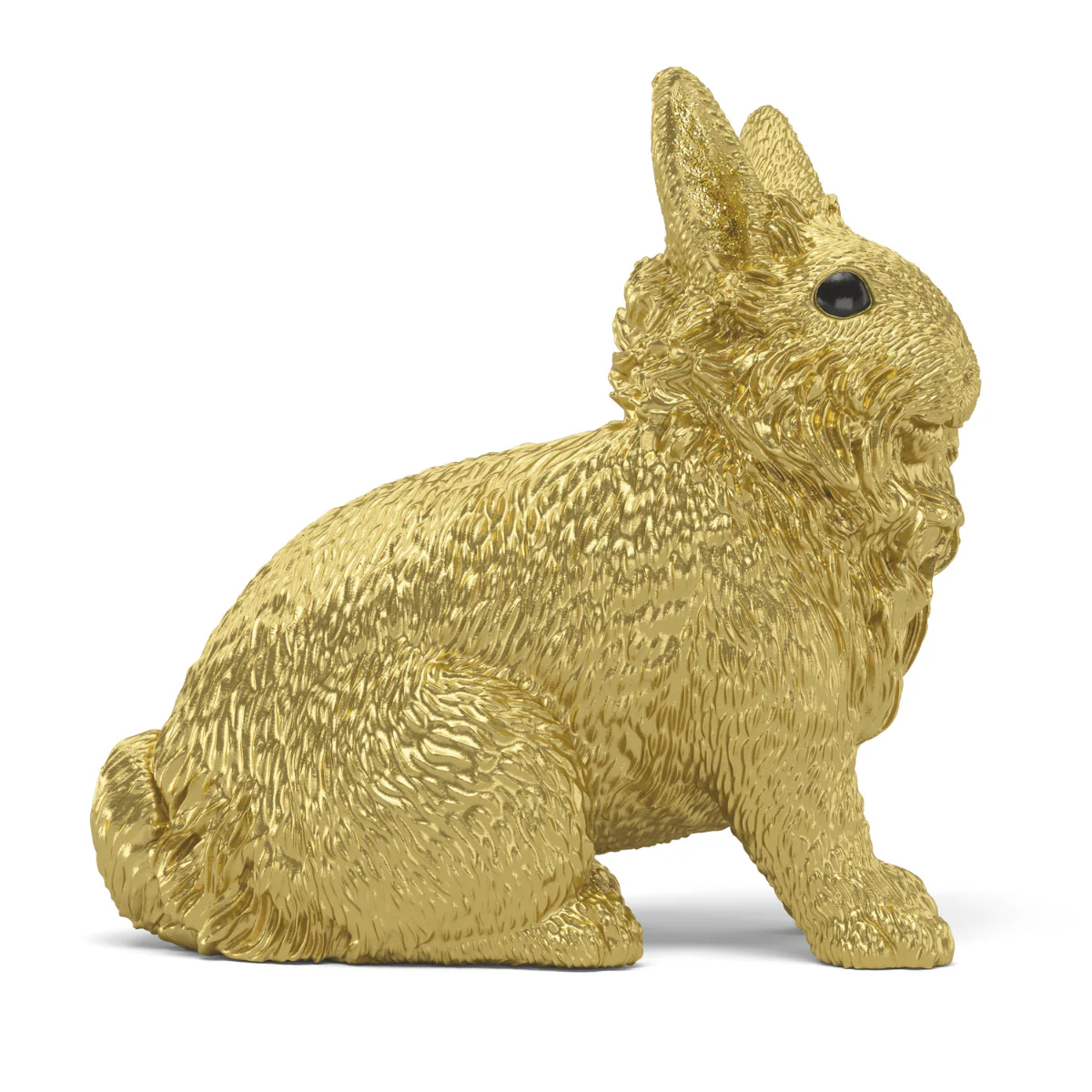 Golden Rabbit - Image 6
