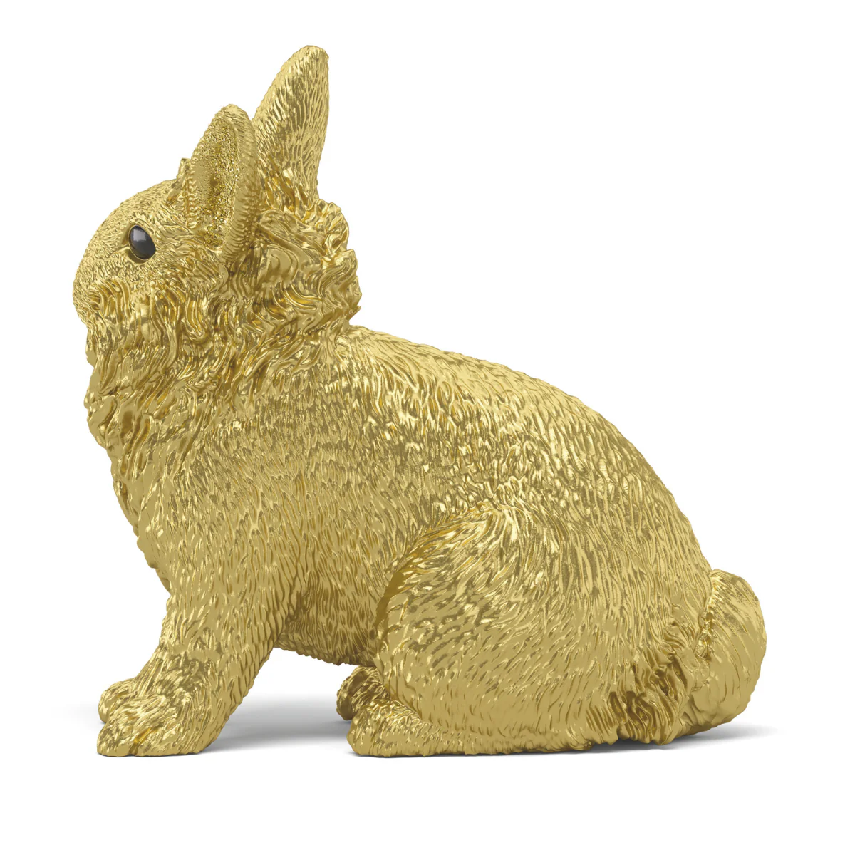 Golden Rabbit - Image 8