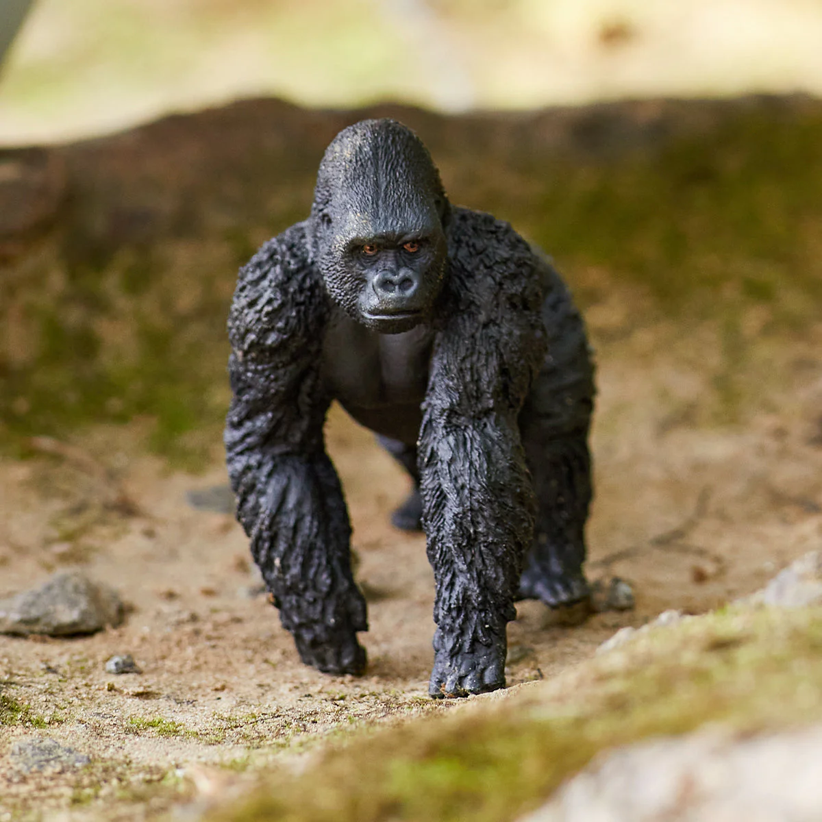 Gorilla, male - Image 2