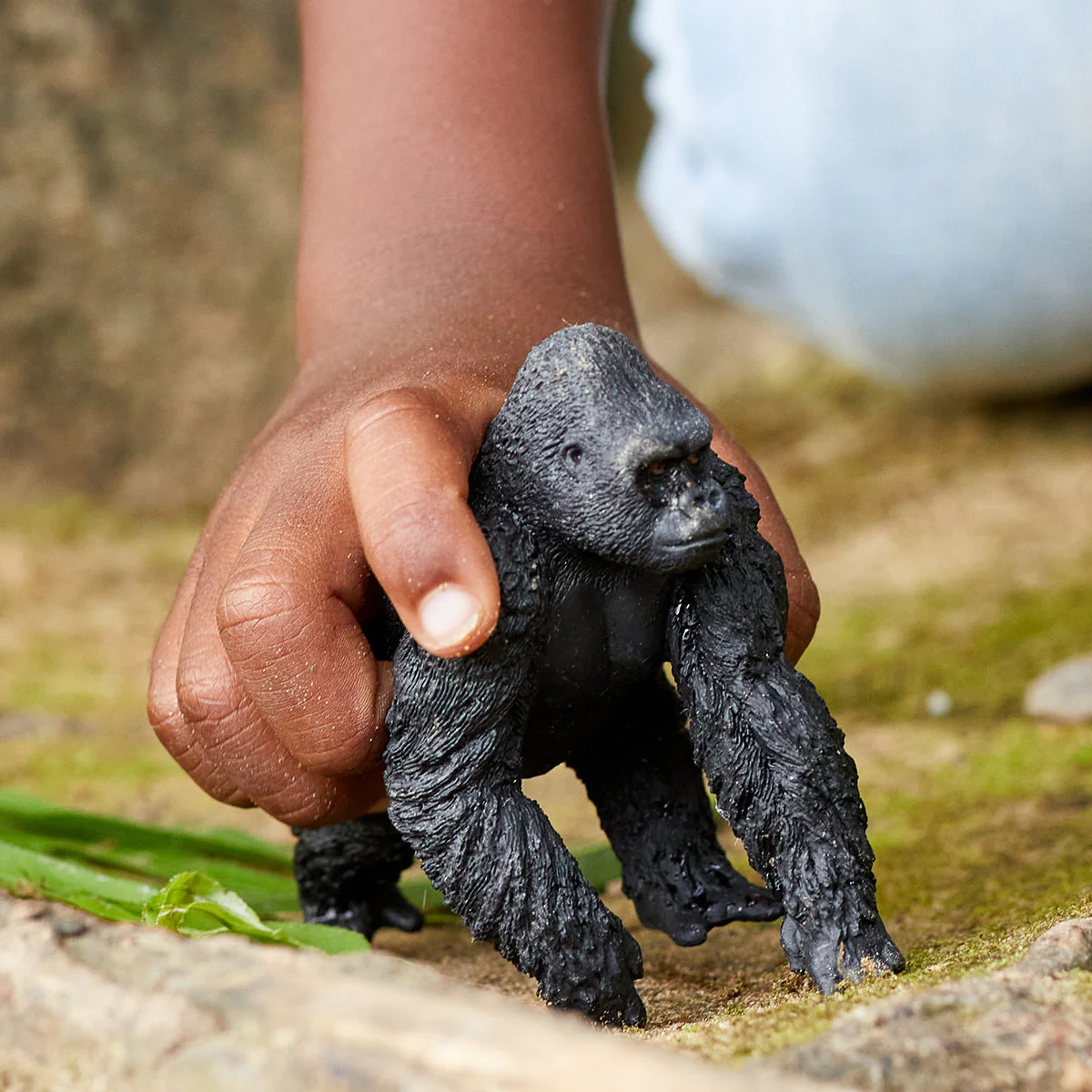 Gorilla, male - Image 4
