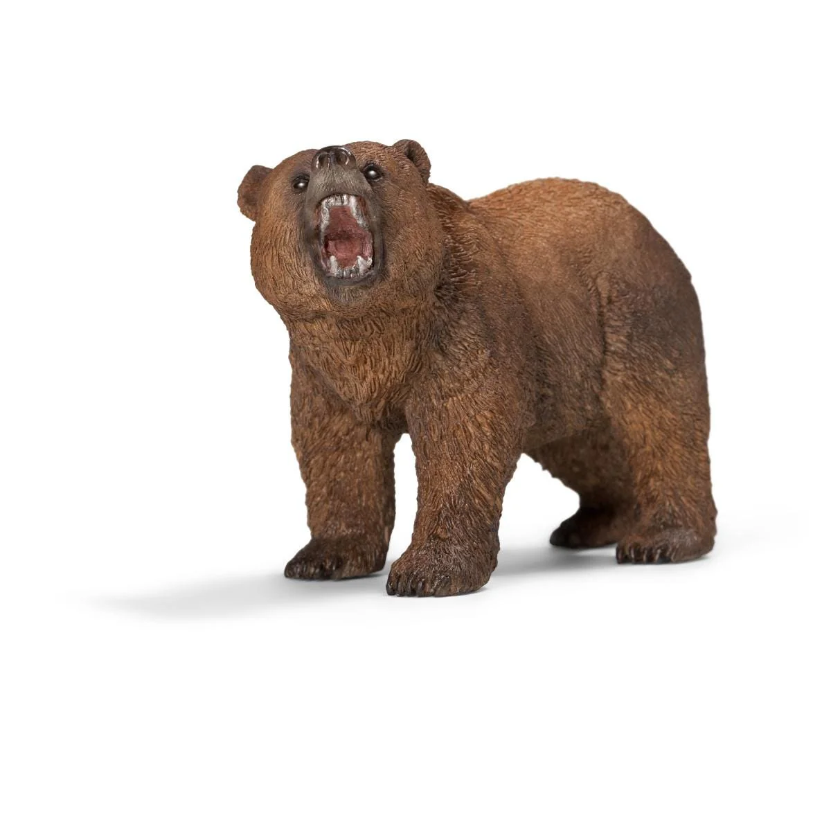 Grizzly bear (Bundle)