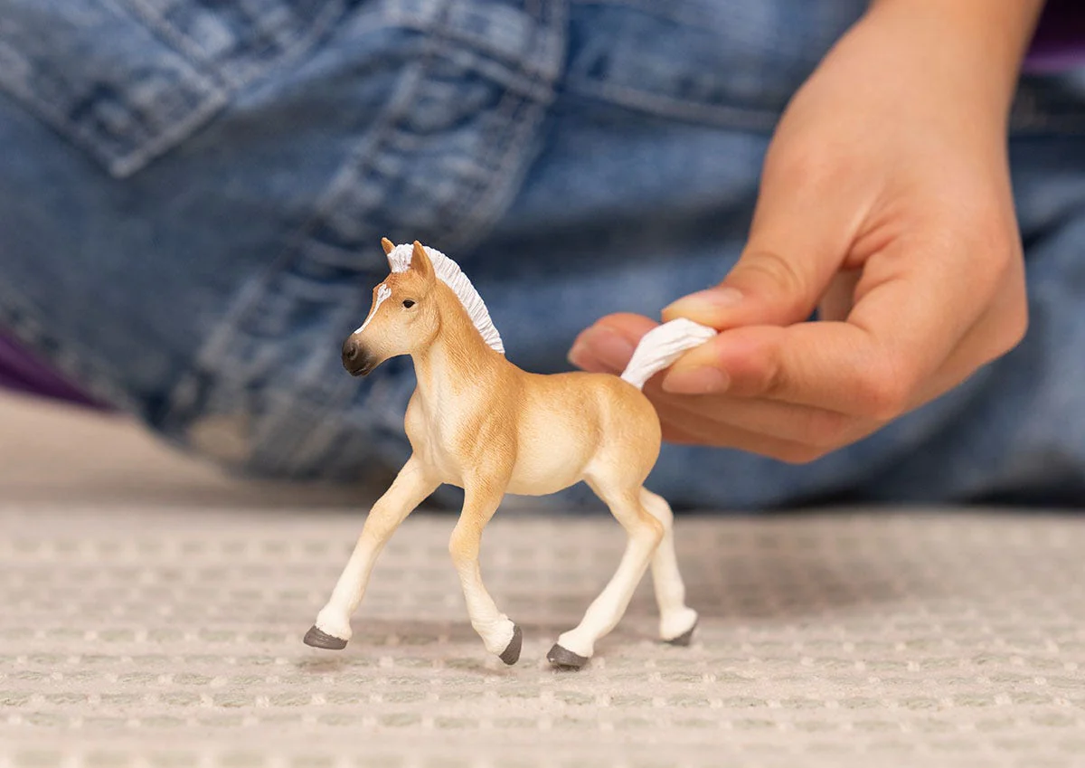 Haflinger Foal - Image 2