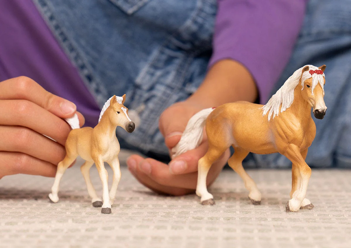 Haflinger Mare - Image 2