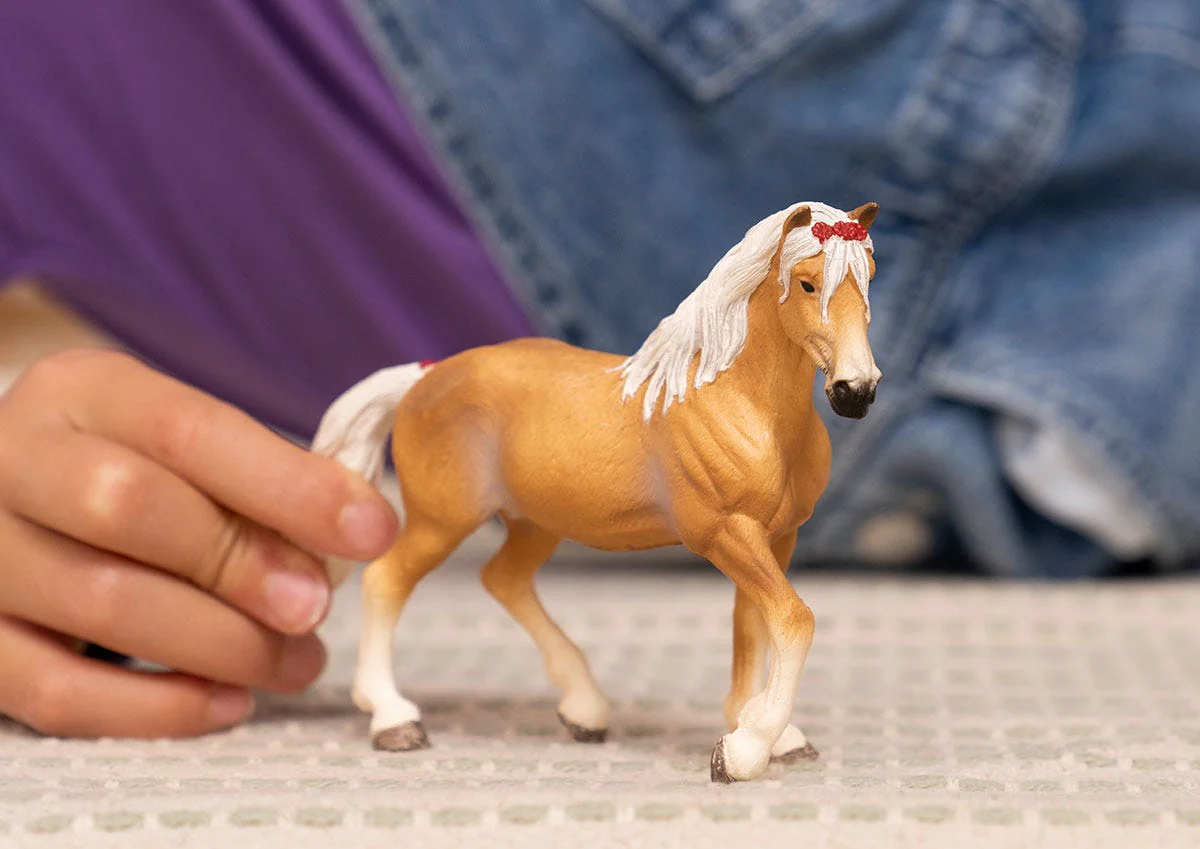 Haflinger Mare - Image 3