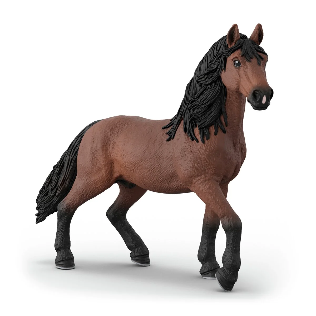 Happy Horse Hospital - Image 14