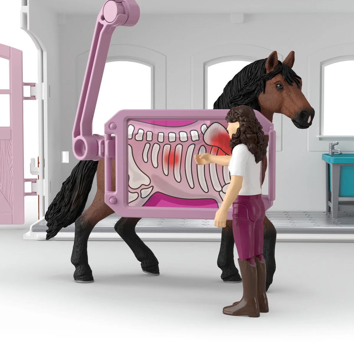 Happy Horse Hospital - Image 9