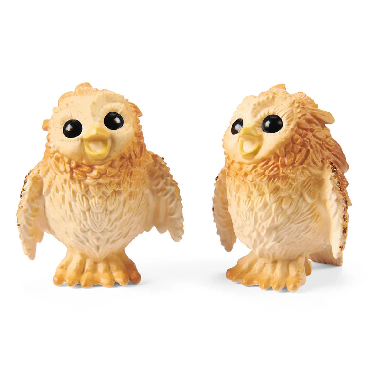 Hatching Owl Chicks - Image 5