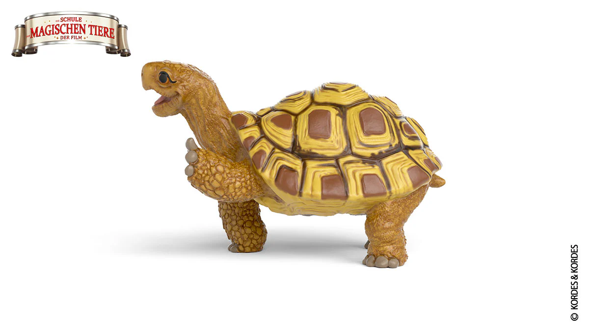 Henrietta the turtle - Image 3