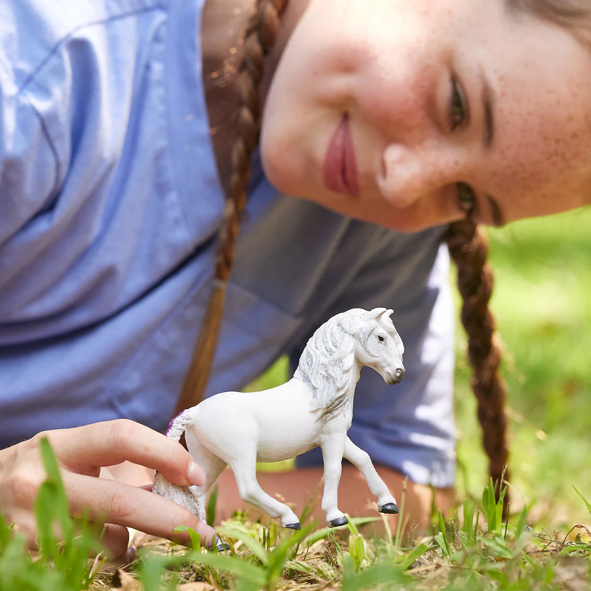 Icelandic Pony Mare - Image 2