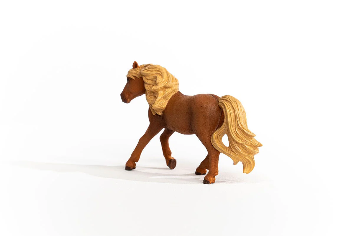 Icelandic Pony Stallion - Image 2