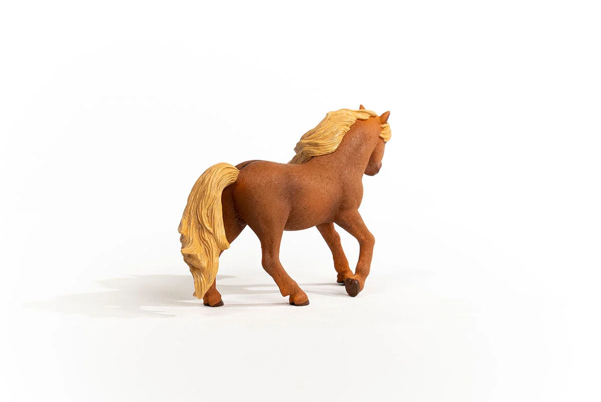 Icelandic Pony Stallion - Image 3