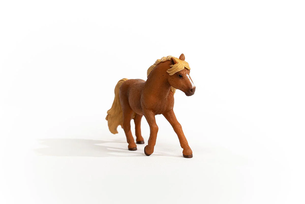 Icelandic Pony Stallion - Image 4
