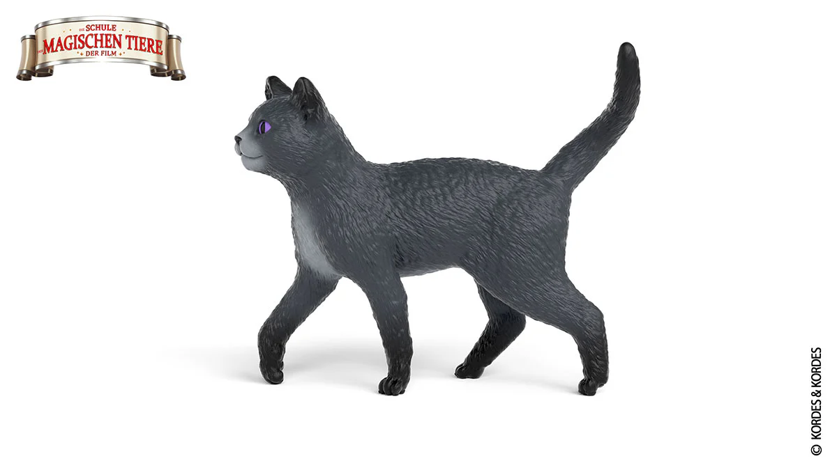 Karajan the cat - Image 3