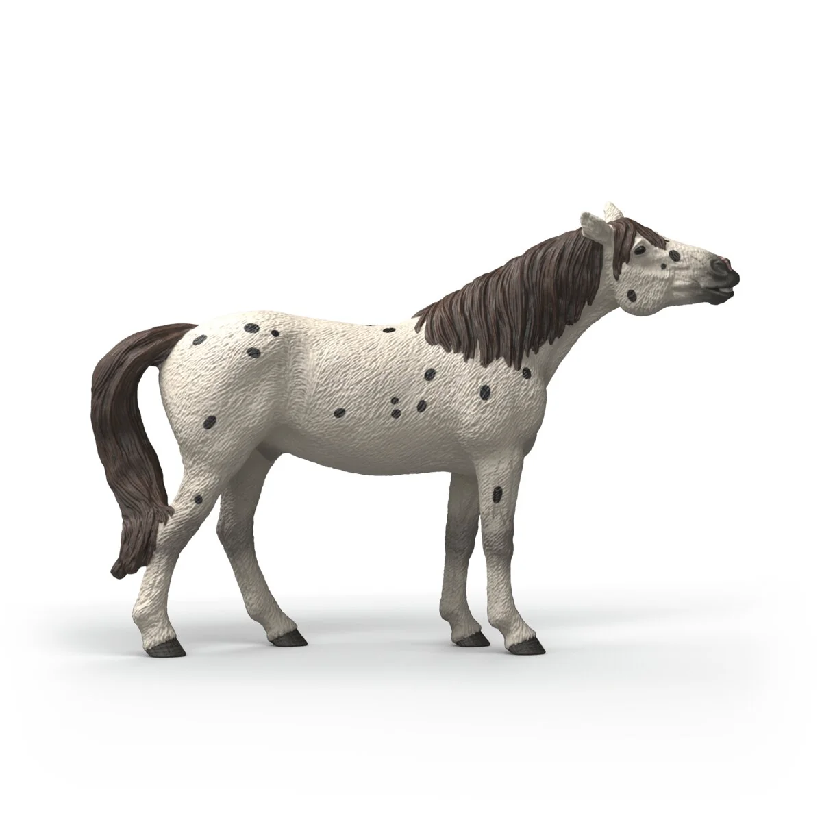 Knabstrupper Gelding - Image 5