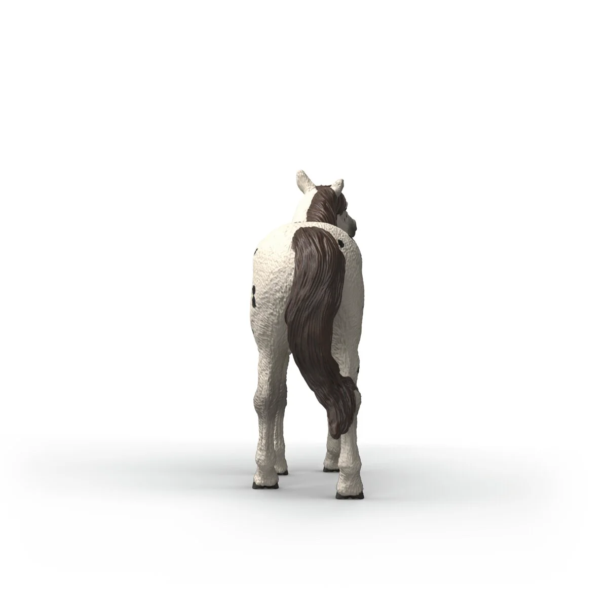 Knabstrupper Gelding - Image 6