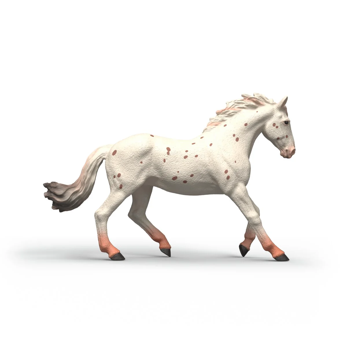 Knabstrupper Mare - Image 3
