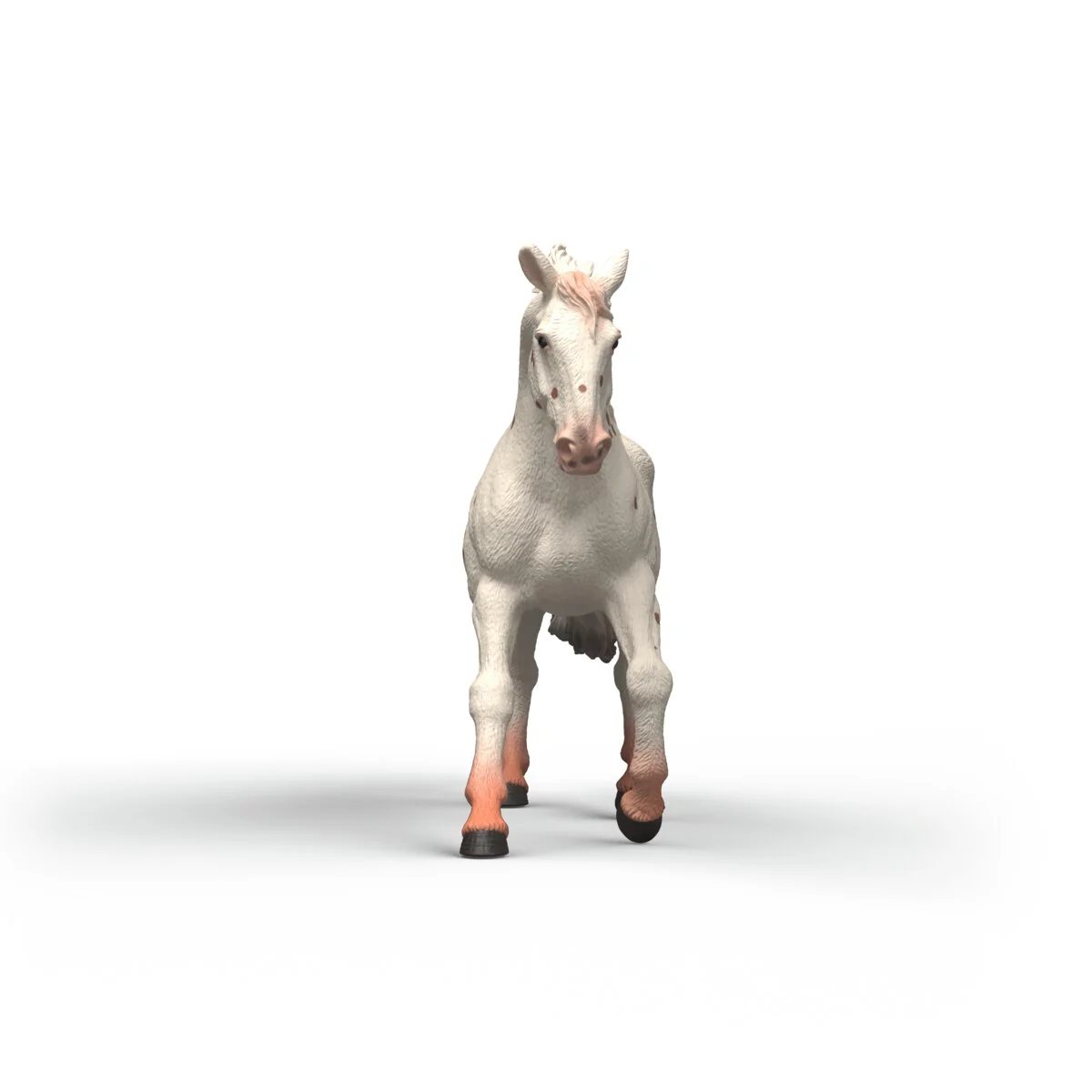 Knabstrupper Mare - Image 4