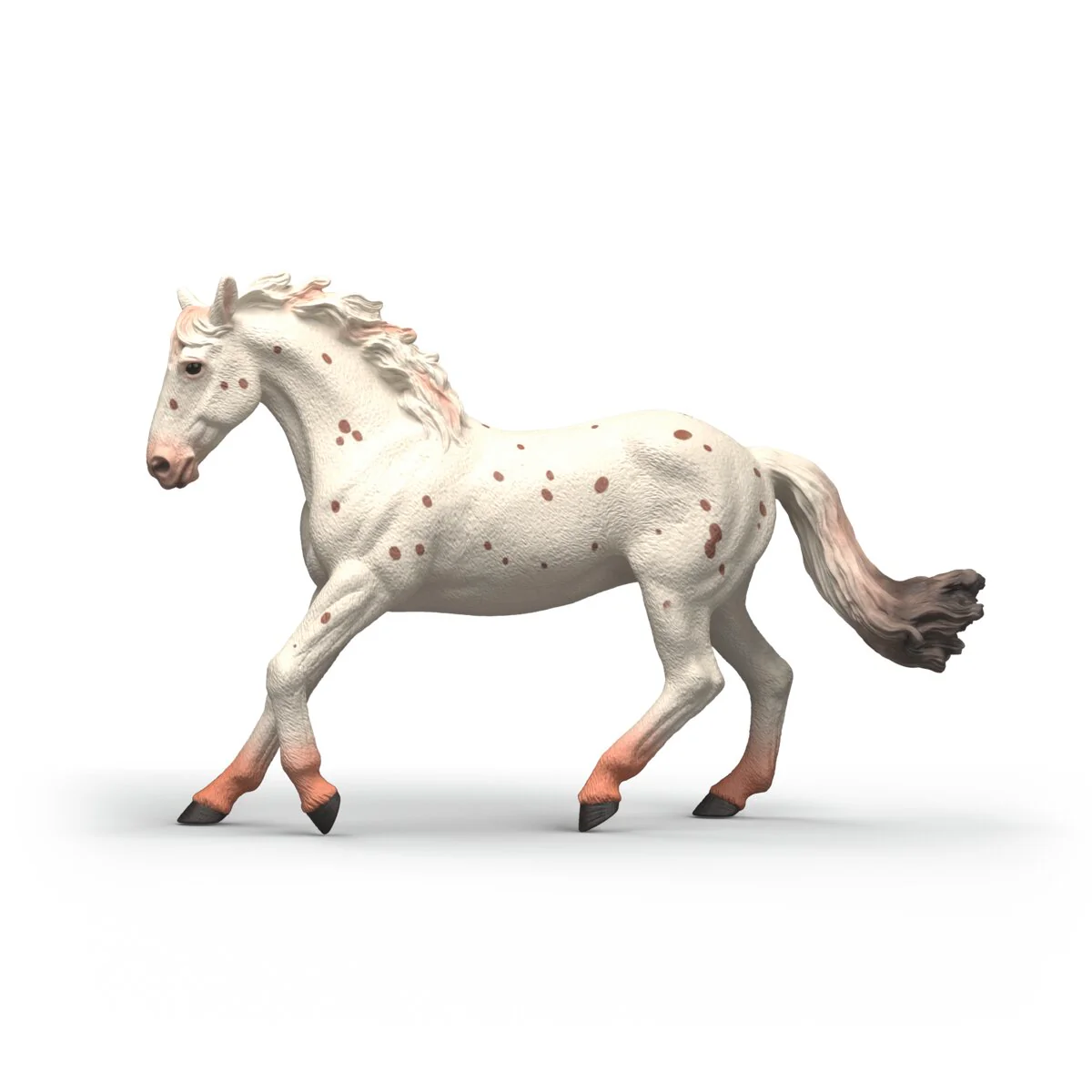 Knabstrupper Mare - Image 5