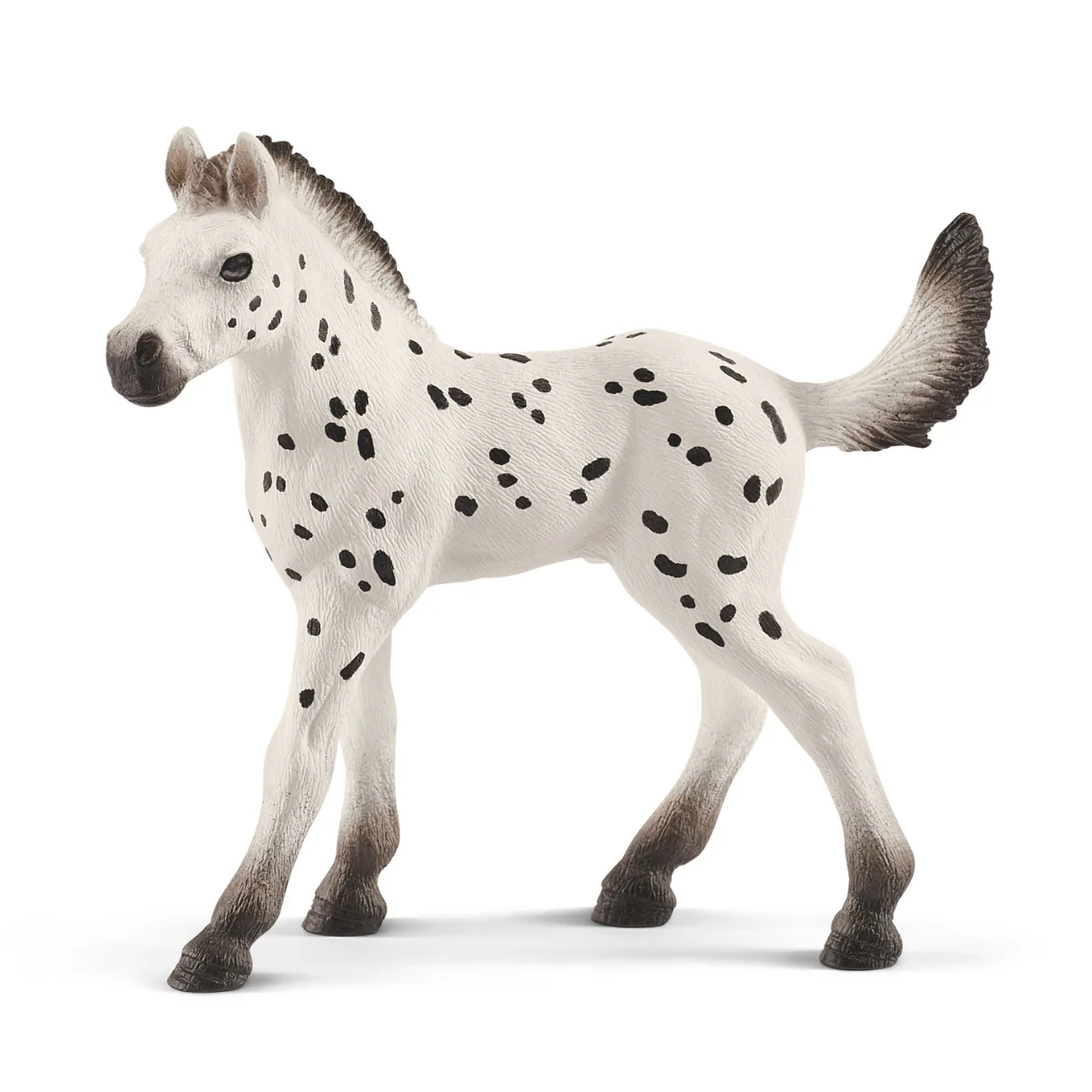 Knapstrupper foal (bundle)