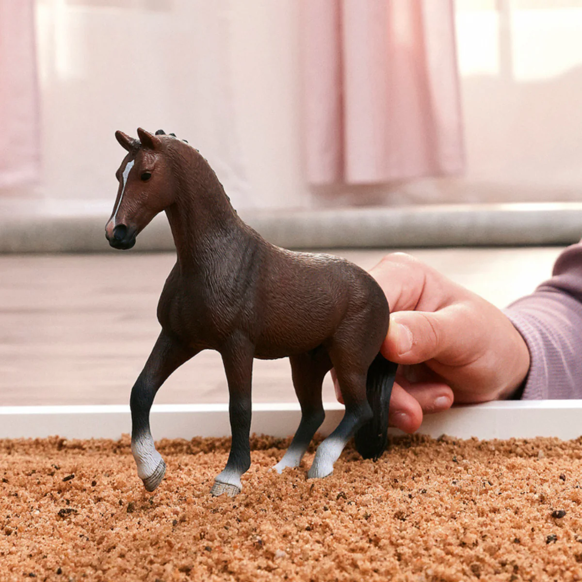 KWPN Gelding - Image 2