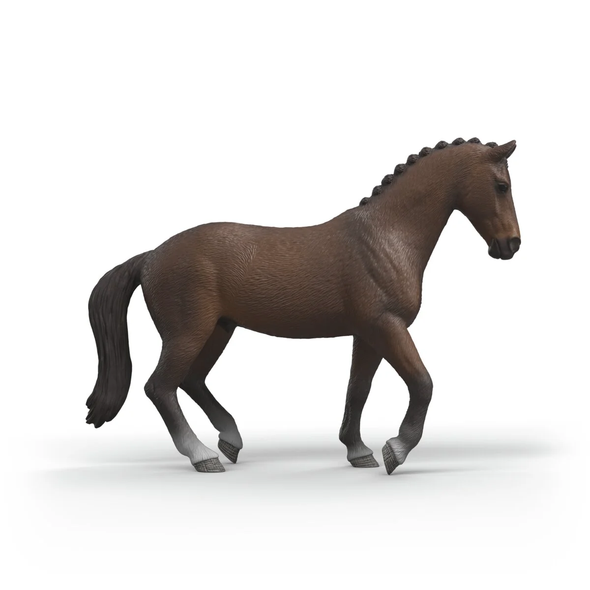 KWPN Gelding - Image 3