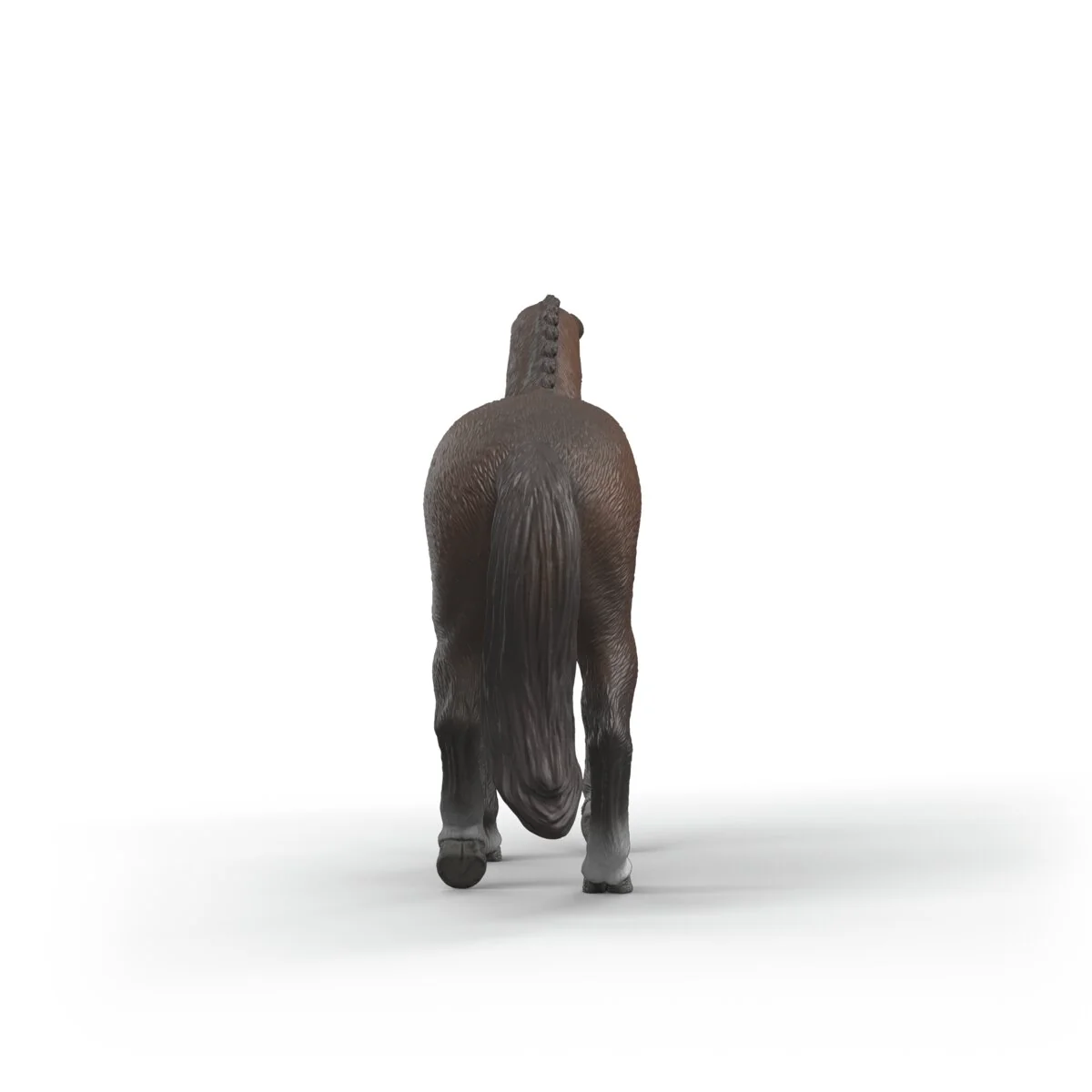 KWPN Gelding - Image 4
