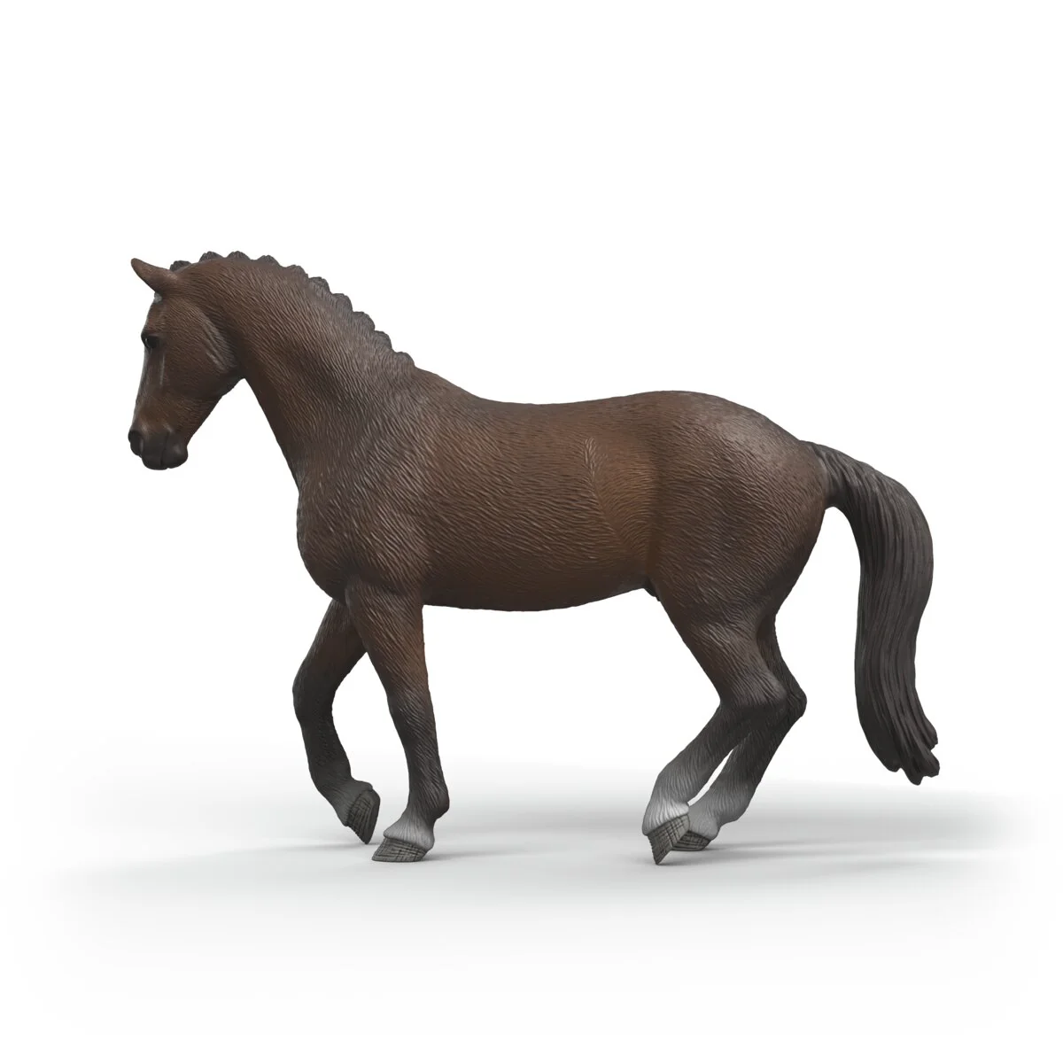 KWPN Gelding - Image 5