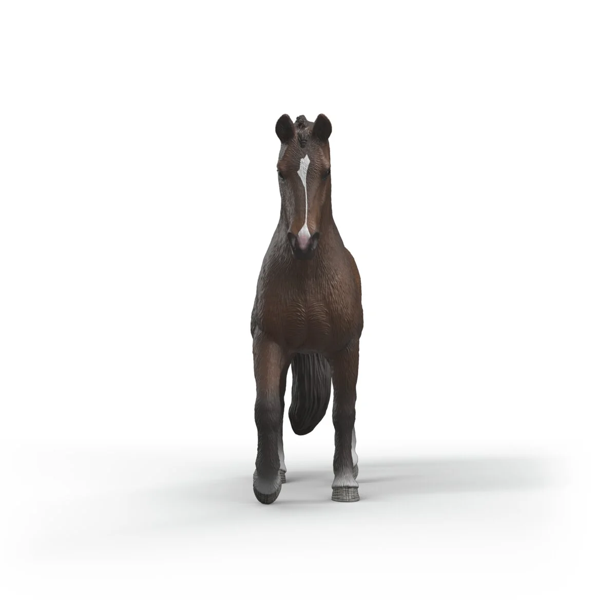 KWPN Gelding - Image 6