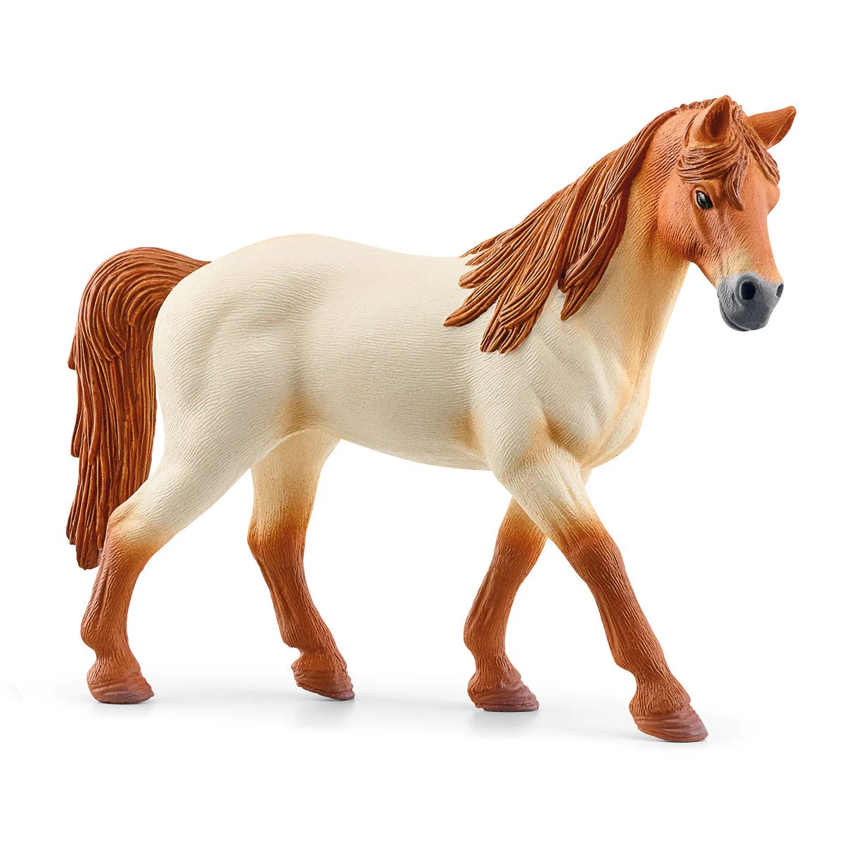 Lakeside Riding Center - Image 22