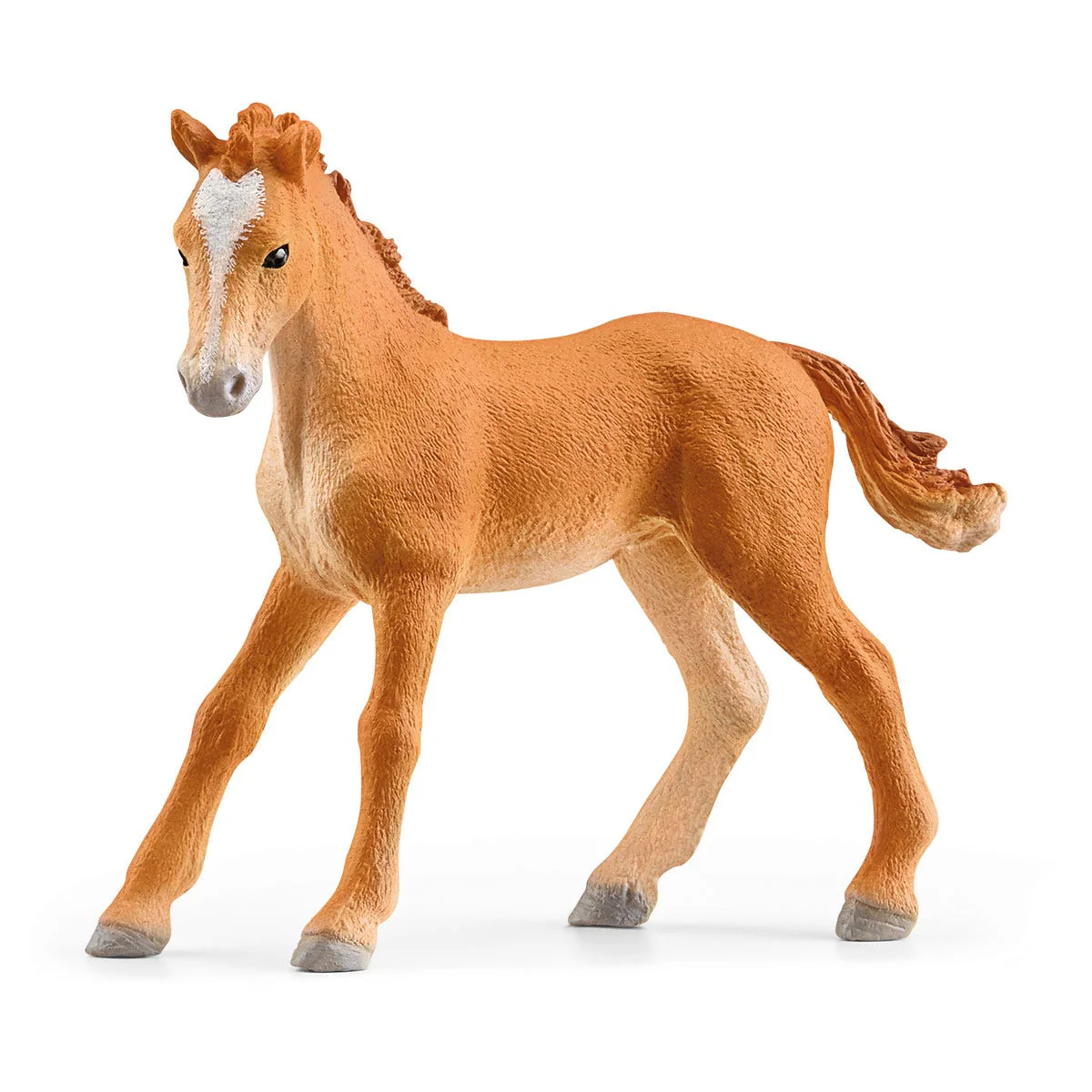Lakeside Riding Center - Image 23