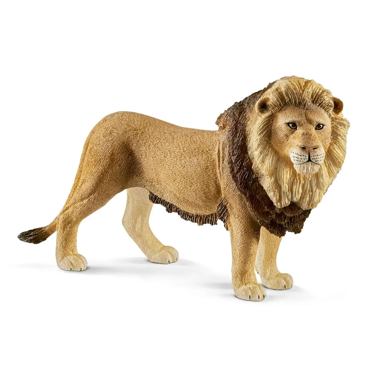 Lion (Bundle)