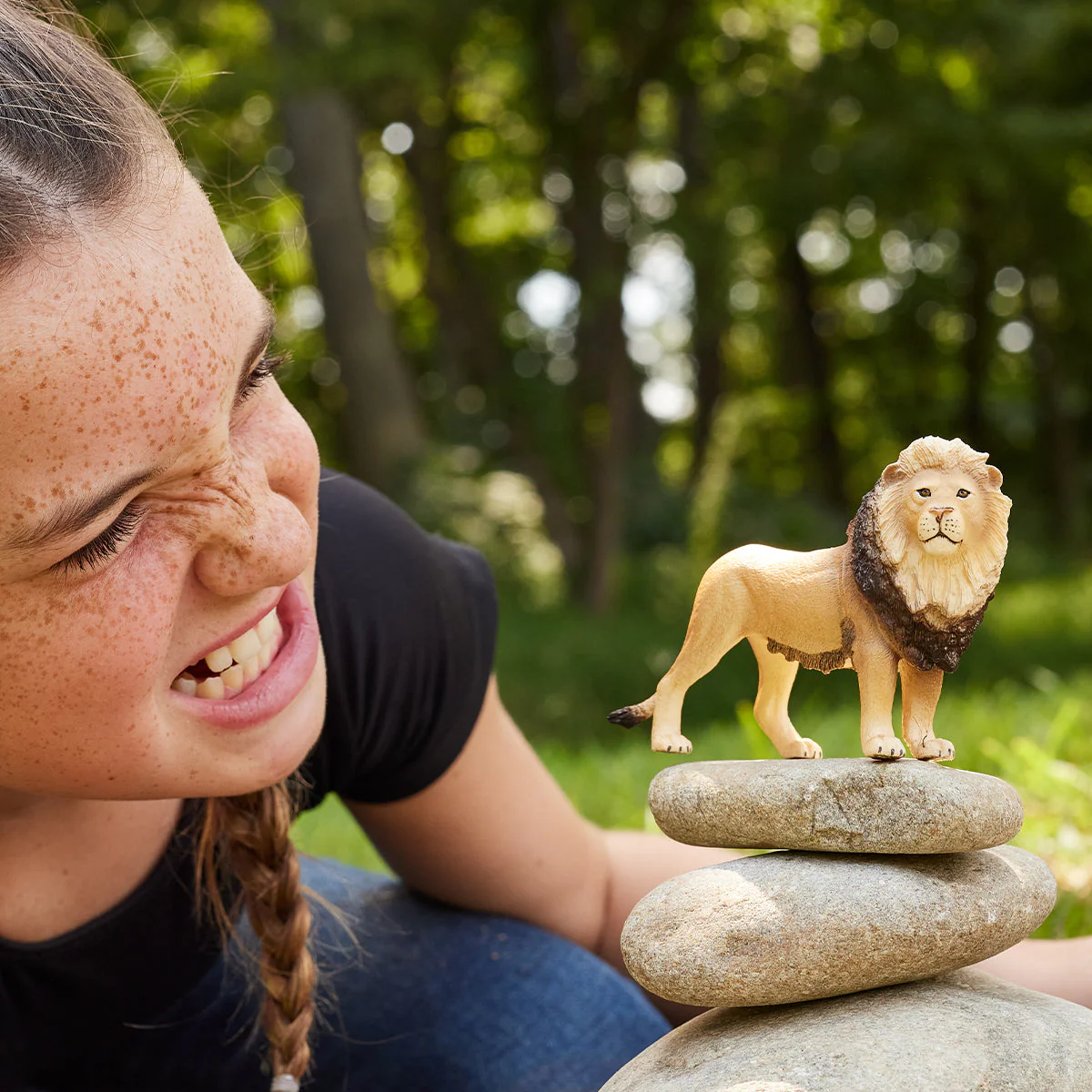 Lion (Bundle) - Image 3