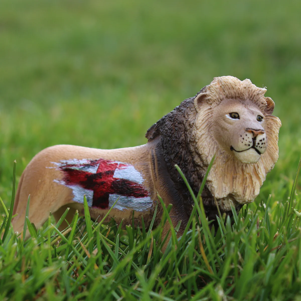 Lion England - Image 3
