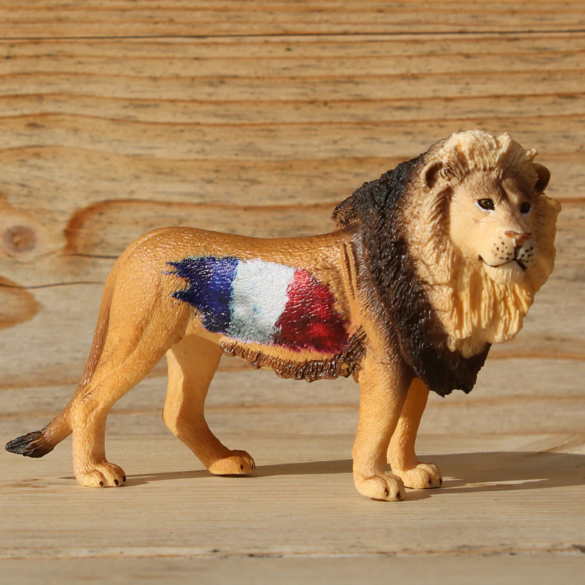 Lion France - Image 2