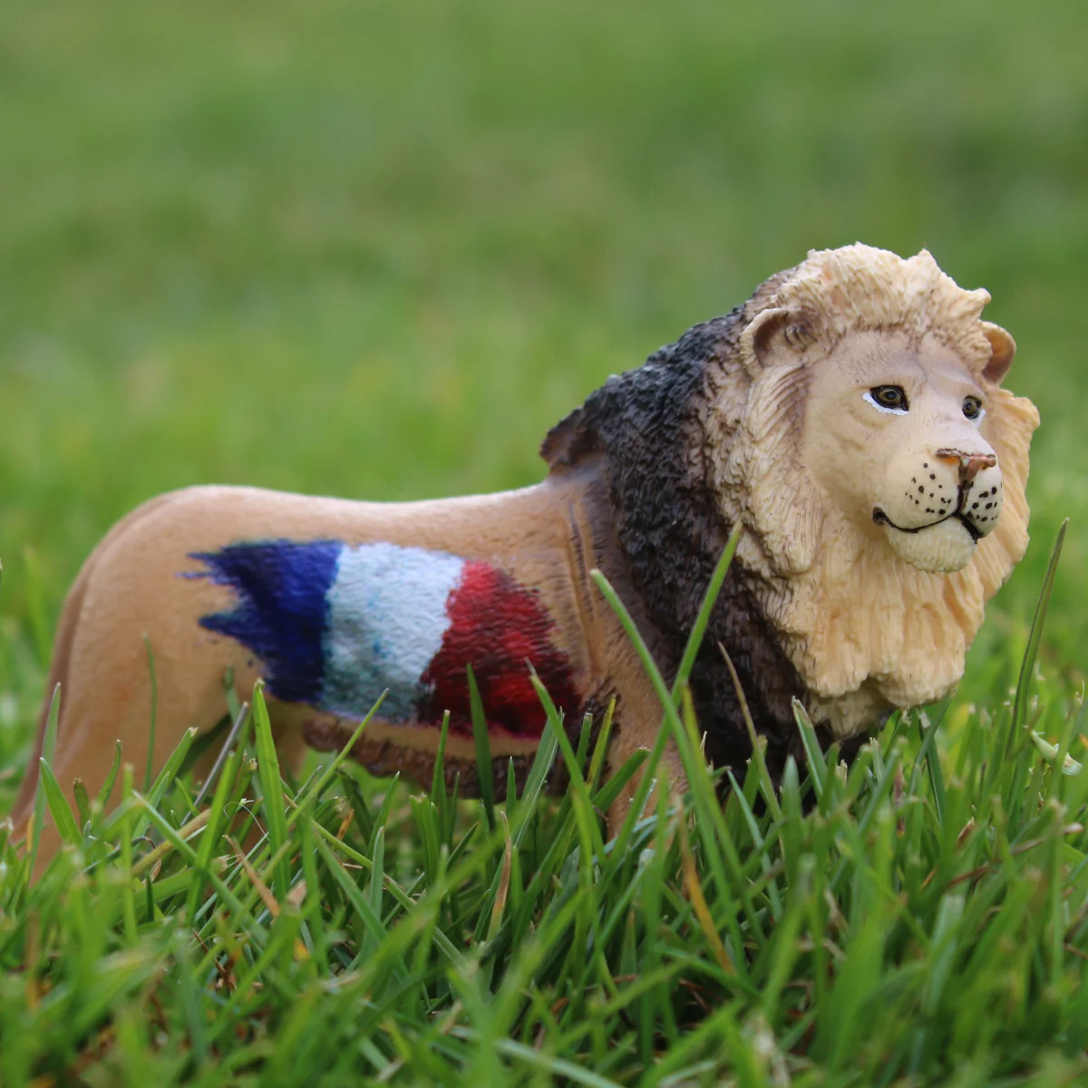 Lion France - Image 3