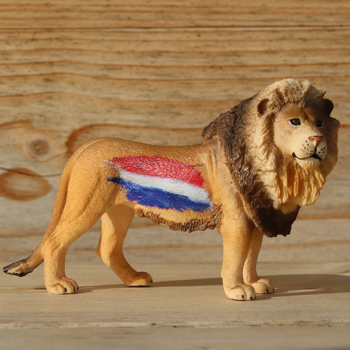 Lion Netherlands - Image 3