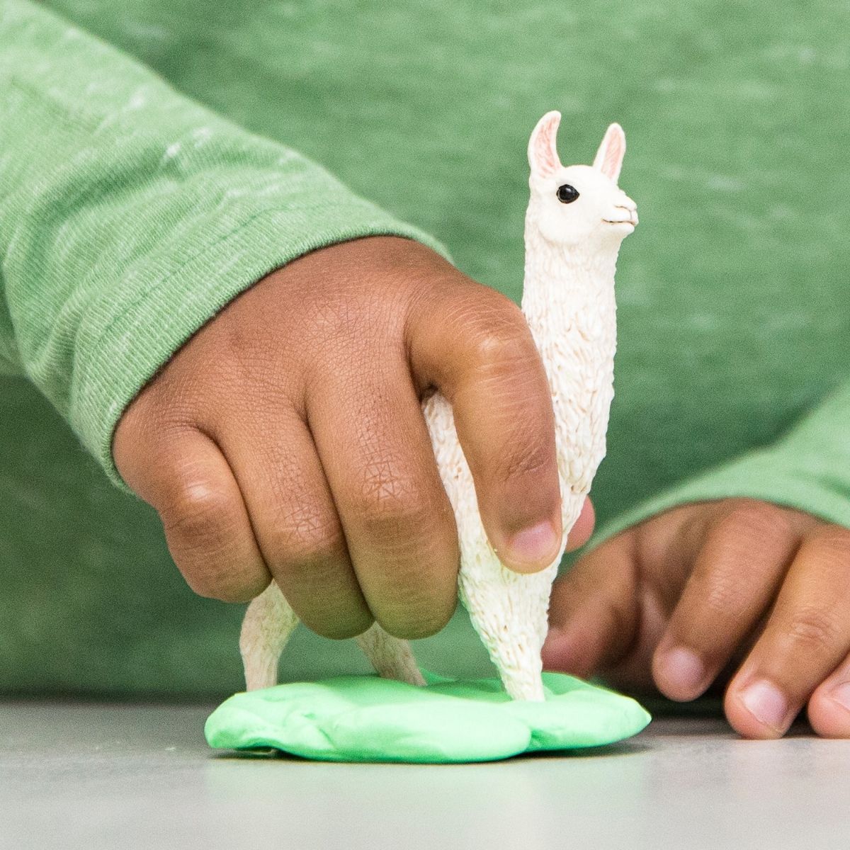 Llama - Image 3