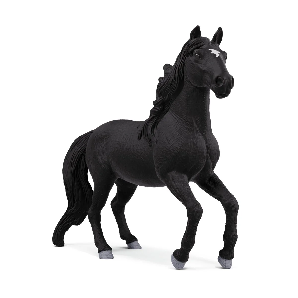 Lusitano Stallion