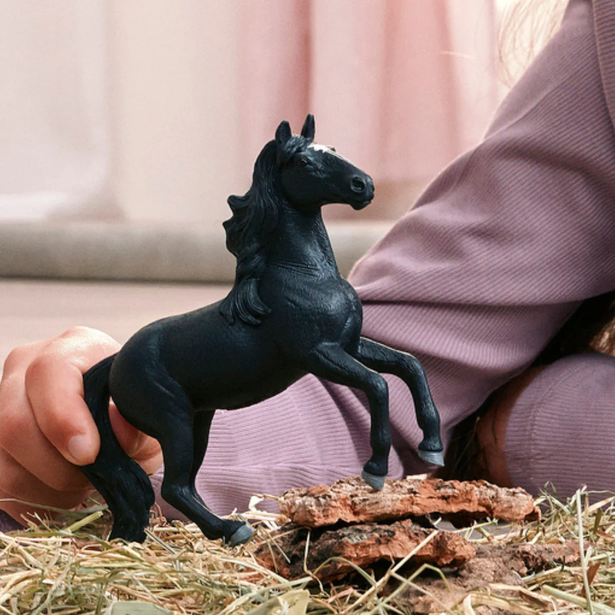 Lusitano Stallion - Image 2